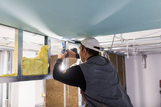 Best Fiberglass Insulation  in Ferndale, PA