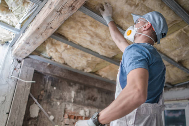 Best Insulation Contractor Near Me  in Ferndale, PA