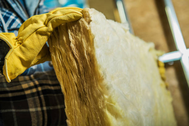 Best Cellulose Insulation  in Ferndale, PA
