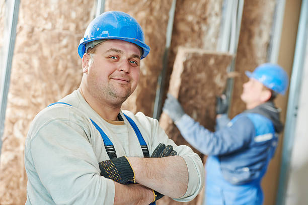 Best Blown-in Insulation  in Ferndale, PA